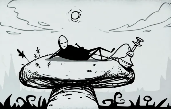 Freeman, freeman, mr.freeman