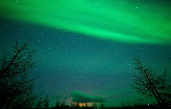 Picture the sky, clouds, trees, Northern lights