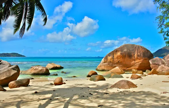 Picture nature, the ocean, stay, relax, Seychelles, exotic, Seychelles