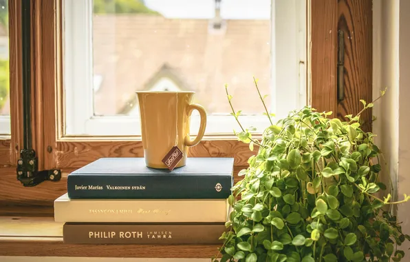 Summer, tea, plant, books, window, Cup