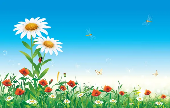 Picture summer, the sky, flowers, insects, nature, chamomile, vector