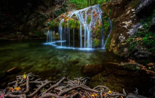 Picture autumn, forest, roots, river, waterfall, Russia, cascade, Crimea