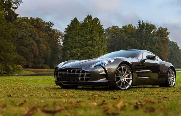 Picture the sky, grass, trees, nature, lawn, Aston Martin, foliage, ONE-77