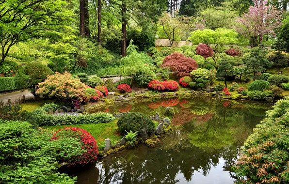 Trees, design, pond, Park, stones, track, USA, the bushes