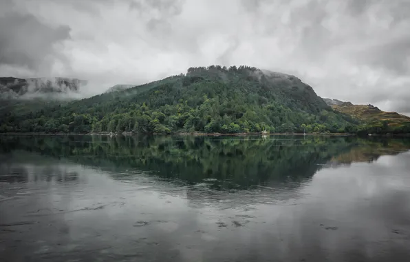 Forest, clouds, fog, lake, reflection, overcast, shore, the slopes