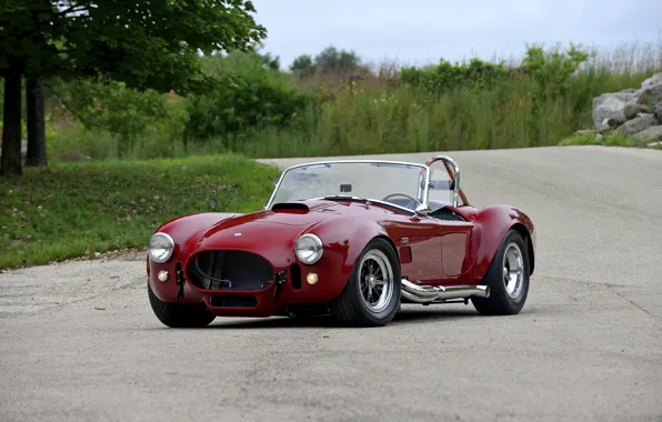 Picture Ford, Shelby, Cobra, Ford, Shelby, Cobra, 1966, 427