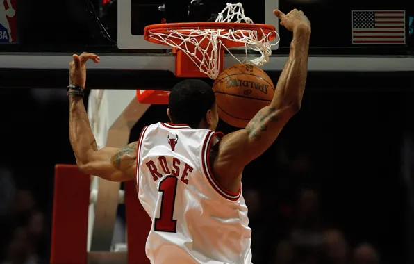 Picture basketball, NBA, chicago bulls