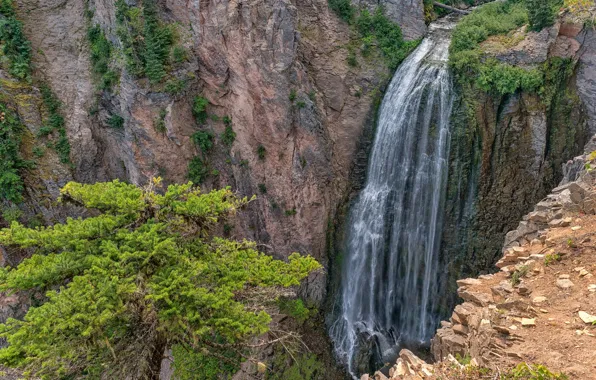 Picture canyon, waterfall, trees, Clear Creek Falls, the sun, rocks, stones