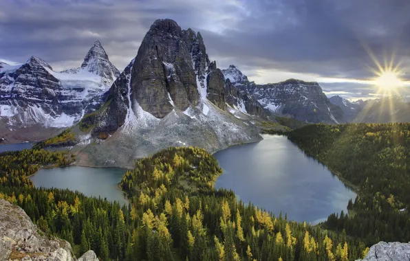 Forest, trees, mountains, lake