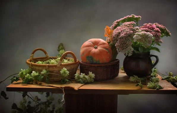 Autumn, flowers, basket, pumpkin, still life, hops, November, stonecrop