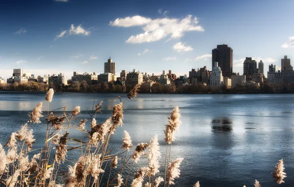 Picture the sky, water, lake, building, new York, USA, Central Park