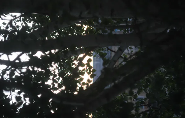 The SUN, The EVENING, URAL, INCREMENT