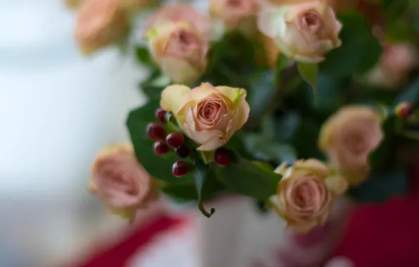 Picture roses, bouquet, buds, bokeh