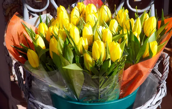 Light, flowers, basket, bouquet, spring, yellow, bucket, tulips