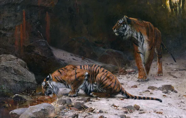 Stones, Picture, Two, River, Tigers, Friedrich Wilhelm Kunert, Friedrich Wilhelm Kuhnert, Wilhelm Kunert