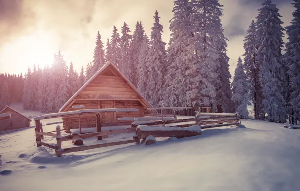 Picture winter, snow, tree, village, hut, landscape, winter, snow