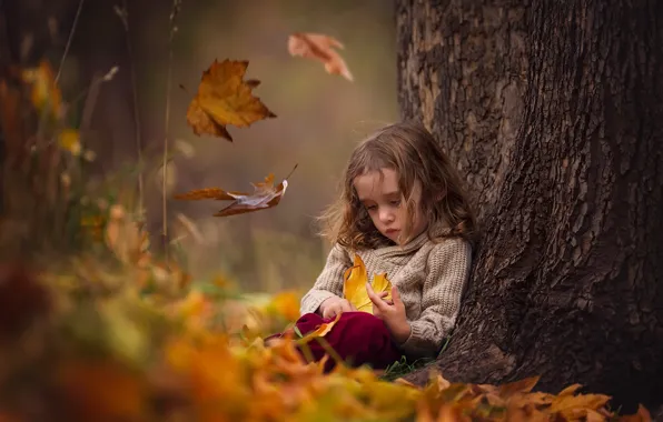 Picture autumn, leaves, girl