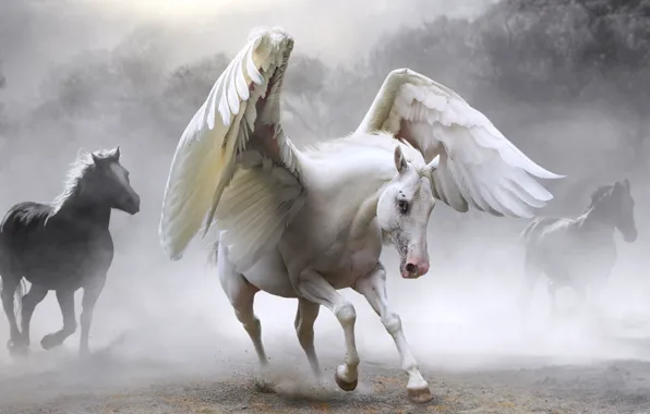 Horse, Pegasus, photoart
