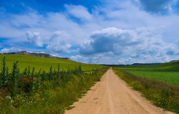 Road, grass, flowers, mountains, nature, Spain, Castilla