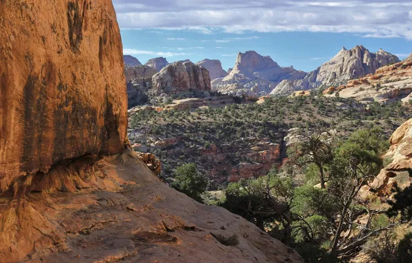 Picture Zion National Park, trees, landscape, nature, mountains, clouds, rocks, plants