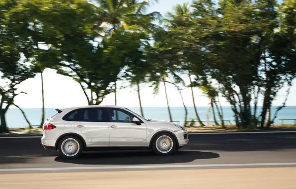 Machine, Porsche, Porsche Cayenne, Porsche, Porsche Cayenne