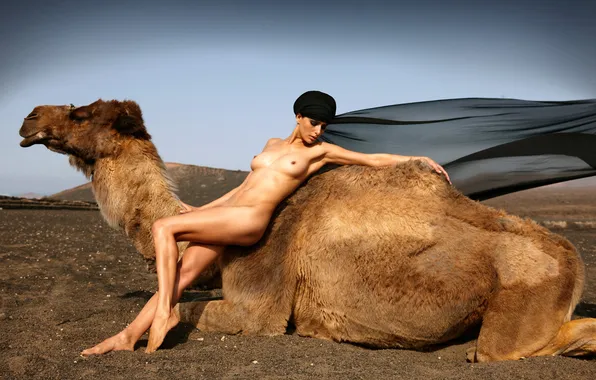 Erotic, chest, girl, the wind, feet, model, brunette, camel