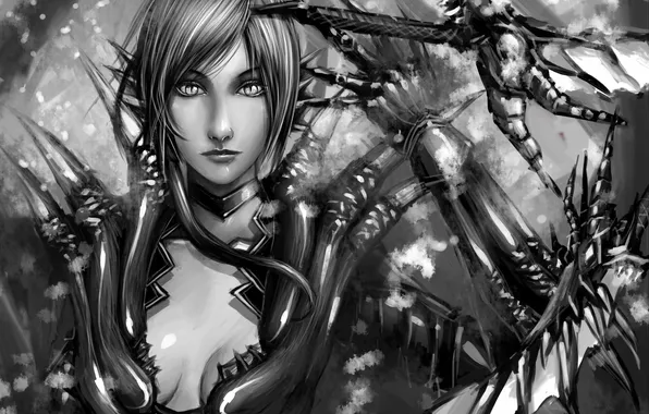 Picture look, girl, black and white, sword, art, dragon age, tekkoon I