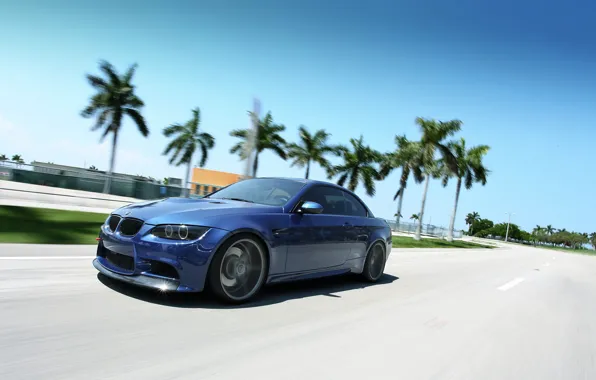 Picture palm trees, bmw, BMW, in motion, e92, 3 series