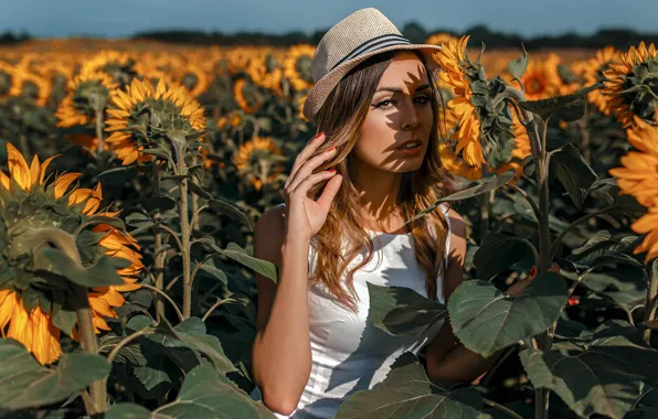 Summer, the sun, sunflowers, hat, Damian Feather