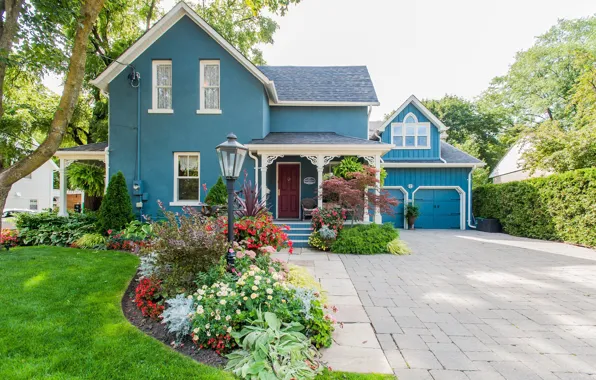 Flowers, the city, house, garden, cottage, beds