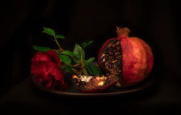 Flower, the dark background, rose, plate, still life, red, garnet, pomegranate grains