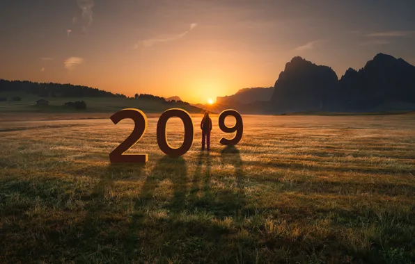 Picture field, the sun, New year, 2019