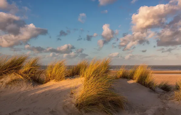Sand, grass, clouds