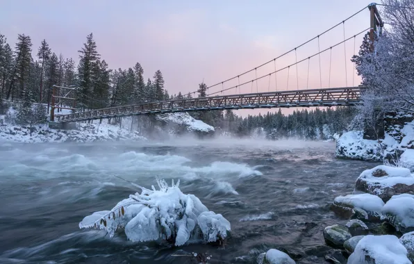 Picture winter, bridge, river, morning