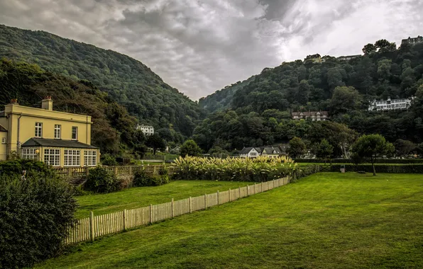 Forest, trees, mountains, the fence, England, home, areas, Lynmouth