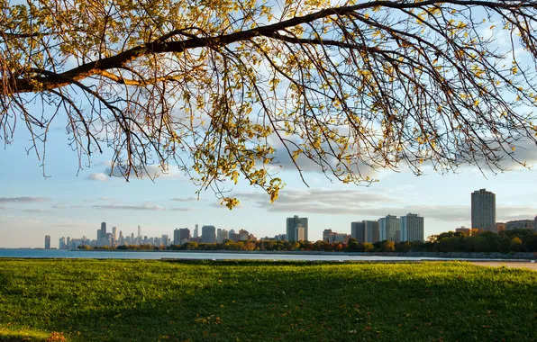 Grass, the city, tree, skyscrapers, Chicago, Illinois, Michigan