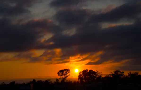 The sky, the sun, clouds, trees, sunset, horizon