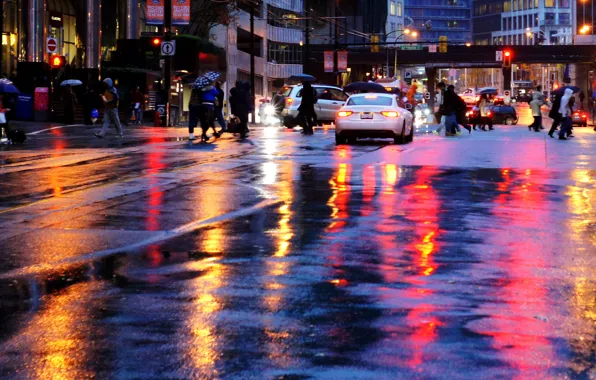 The city, lights, movement, rain, vanity
