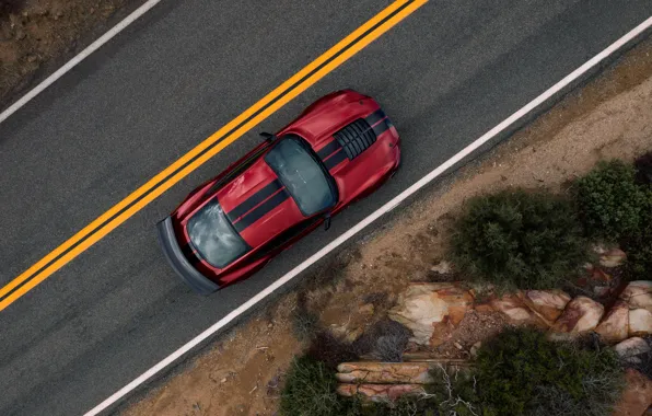 Picture Mustang, Ford, Shelby, GT500, the view from the top, bloody, 2019