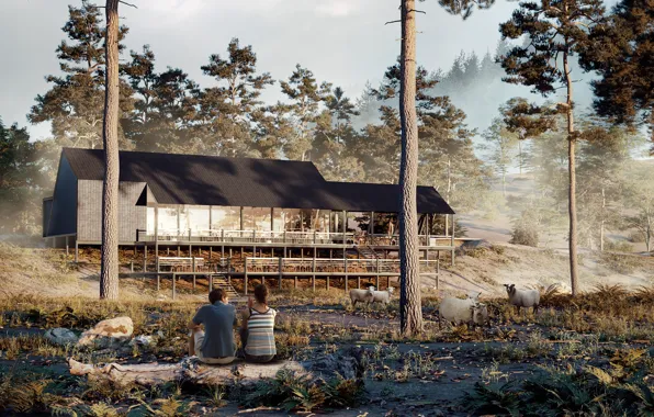 Forest, sheep, log, structure, Into the Woods