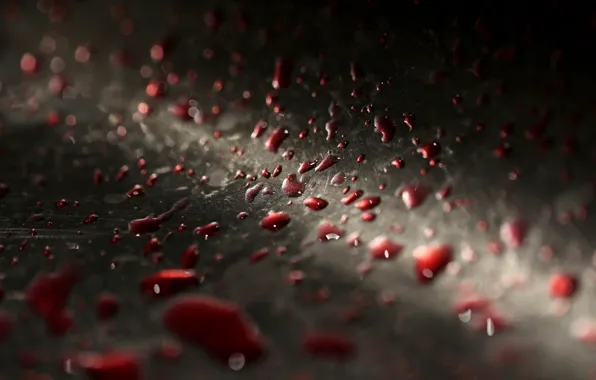 Picture drops, macro, blood