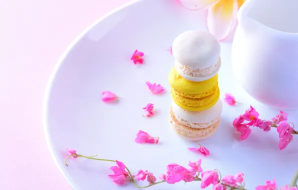 Flowers, petals, cakes, cakes, Pasta