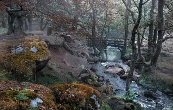 Bridge, nature, Park, river, England, Derbyshire Dales District, Grindleford