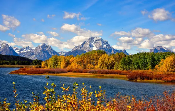 Picture autumn, mountains, river, Wyoming, USA, national Park Grand Teton
