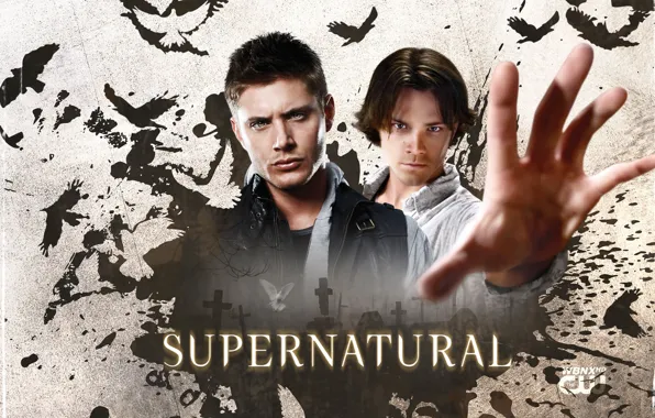 Picture the series, guys, brothers, men, supernatural, supernatural, jensen ackles, Jensen ackles