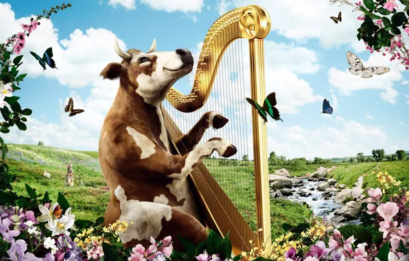 Picture nature, cow, harp