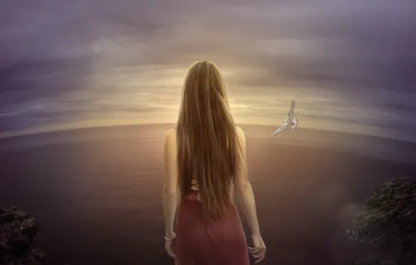 Sea, loneliness, the wind, bird, Seagull, art, space, brown hair