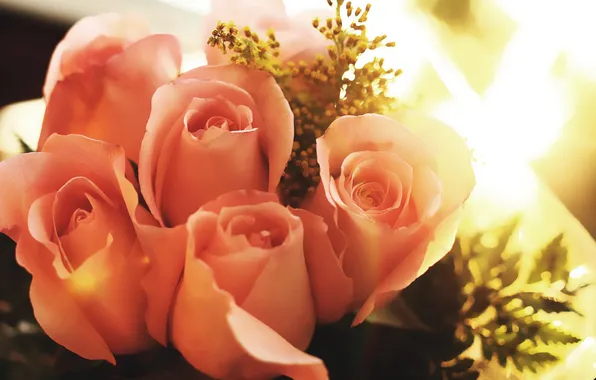 Flowers, roses, bouquet