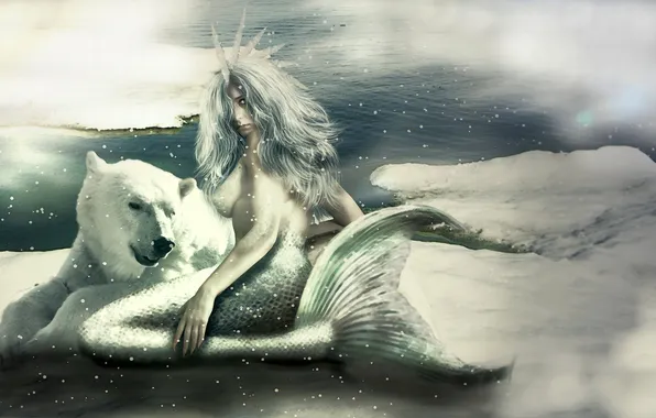 Picture cold, look, snow, fiction, mermaid, art, tail, polar bear