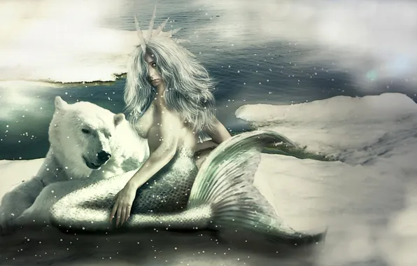 Cold, look, snow, fiction, mermaid, art, tail, polar bear